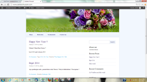 12. open new tab with your address to see what happen in your website now